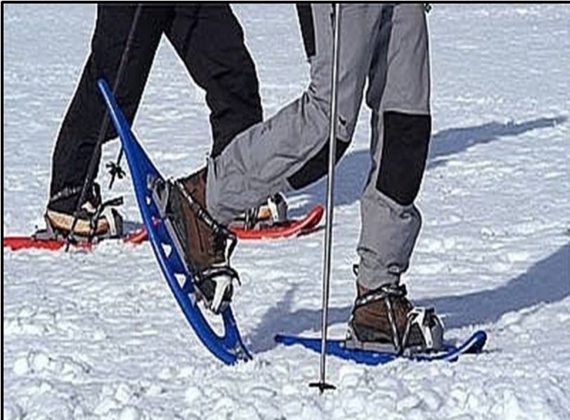  Snowshoes 
